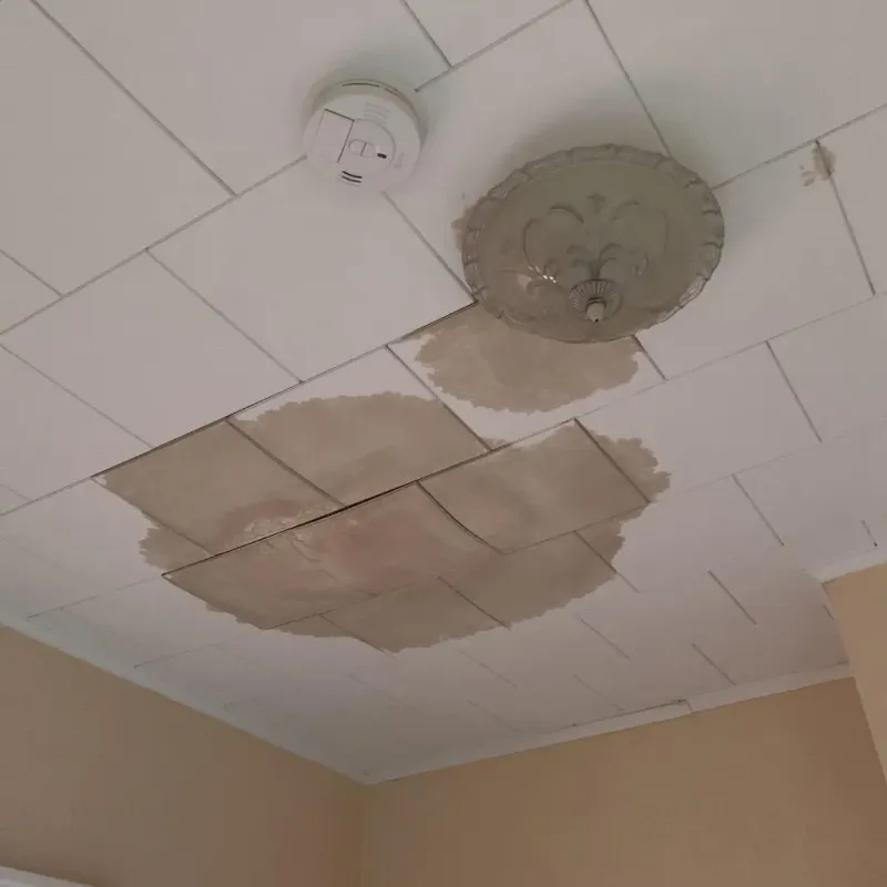 Ceiling Water Damage Repair in Revere, MA