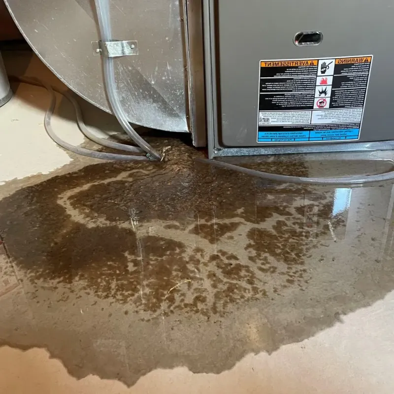 Pipe Burst and Leak Restoration in Revere, MA